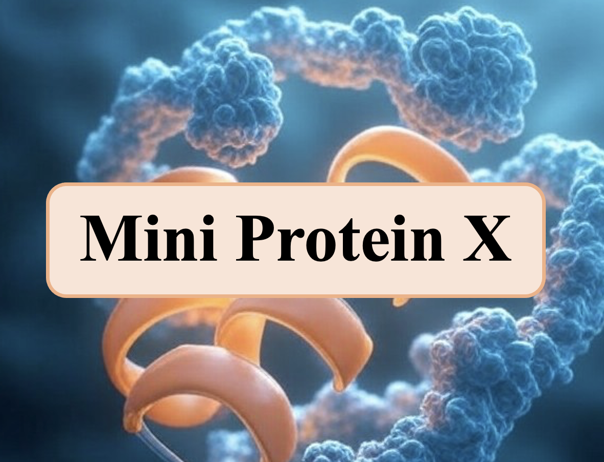 Mini Protein X